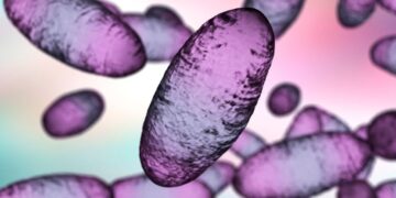Authorities Confirm Rare Human Infection of Bubonic Plague in Oregon: Insights from ScienceAlert