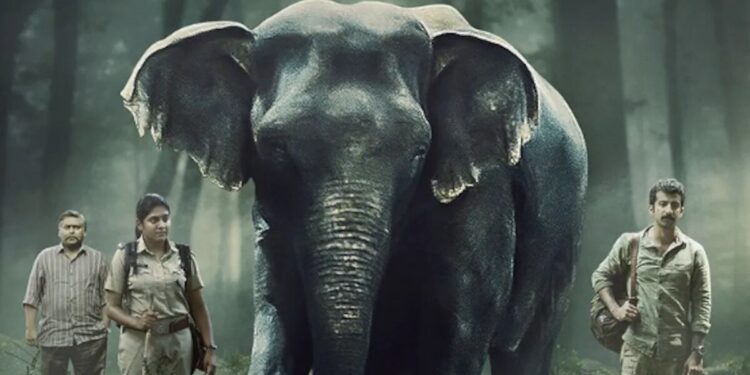 Alia Bhatt Steps Into Production with ‘Poacher’, the New Show to Watch