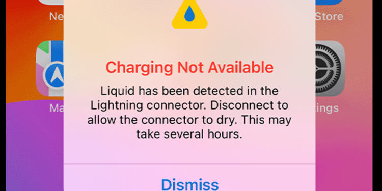 Expert Tips: How to Deal with a Soaked iPhone without Resorting to Rice
