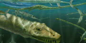 Fossil of ‘Chinese Dragon’ Reptile Unearthed: A 240-Million-Year-Old Discovery