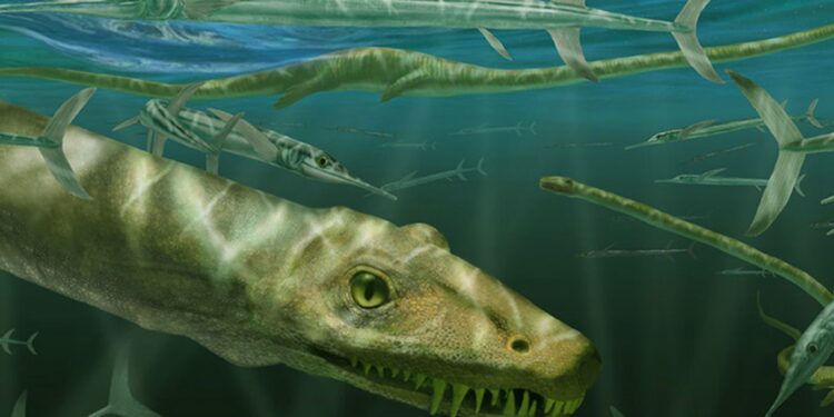 Fossil of ‘Chinese Dragon’ Reptile Unearthed: A 240-Million-Year-Old Discovery
