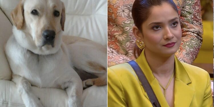 Heartfelt Condolences: Ankita Lokhande’s Beloved Dog Scotch Passes Away
