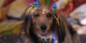 Carnival in Rio Ignites with Dazzling Dog Parade