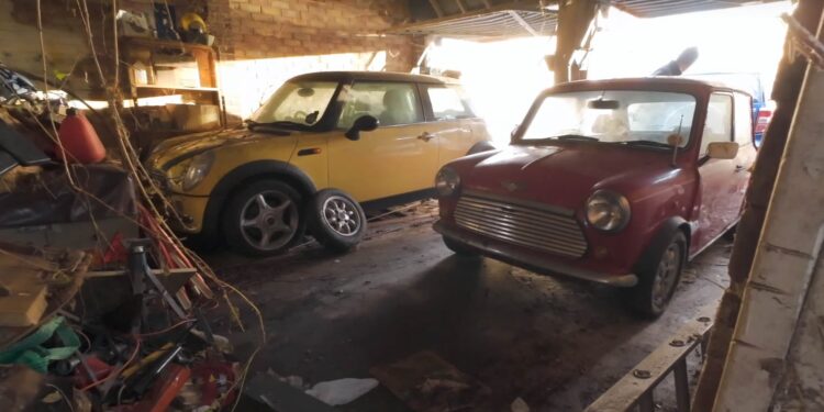 Pair of Classic Mini Coopers Unearthed from Nature-Reclaimed Garage
