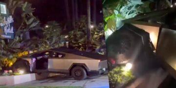 Brand New Tesla Cybertruck Wrecked by Owner on Delivery Day