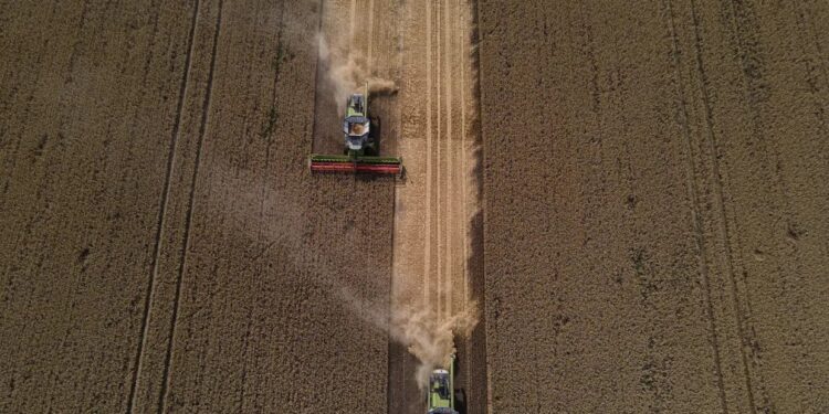 Ukraine’s Agricultural Exports Reach $22 Billion Mark in 2023