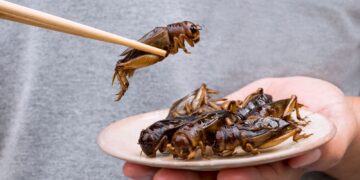 Overcoming the ‘Disgust Factor’ to Make Insect-Derived Food a Sustainable Choice