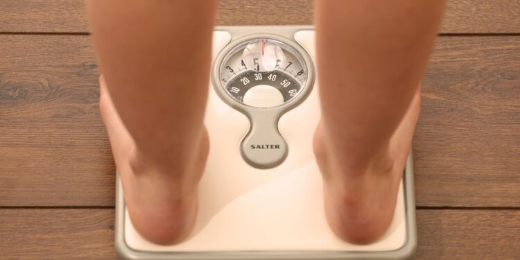 Link Between Small Fat Cells and Future Weight Gain: New Research Insights