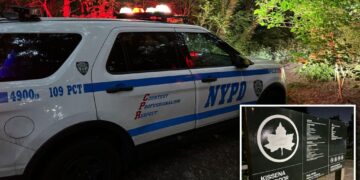 Suspect Wanted for Sexual Assault of 13-Year-Old Girl at Knife Point in Queens Park