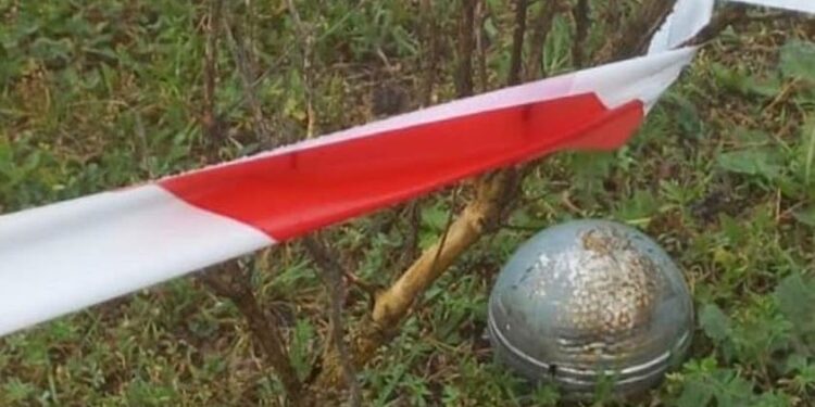 Discovery of Russian Cluster Munitions in Kyiv Surroundings by Police