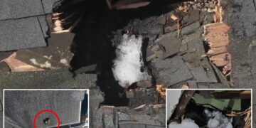 New Jersey Family Escapes Injury as Ice Chunk from Sky Tears Through Their Roof