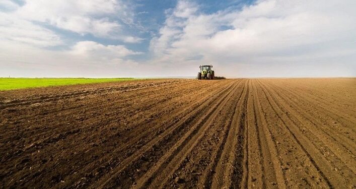 Debating the Opening of the Ukrainian Land Market to EU Individuals