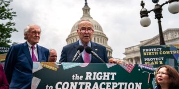 Efforts to Establish Federal Birth Control Protections Thwarted by Senate GOP