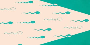 Innovative Male Contraceptive Gel Offers Rapid Results in New Trial, According to UK Study
