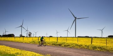Ukraine Sees a Surge in Green Energy as German Firms Plan Wind and Solar Projects