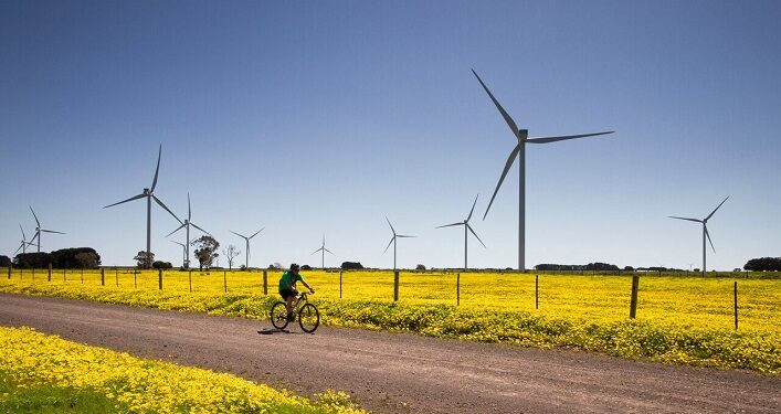 Ukraine Sees a Surge in Green Energy as German Firms Plan Wind and Solar Projects